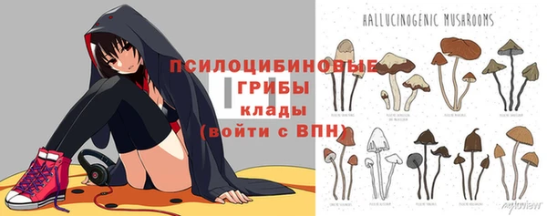 винт Арсеньев
