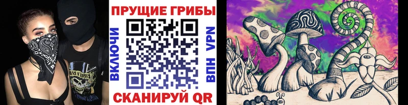 Псилоцибиновые грибы Psilocybine cubensis  Рославль 